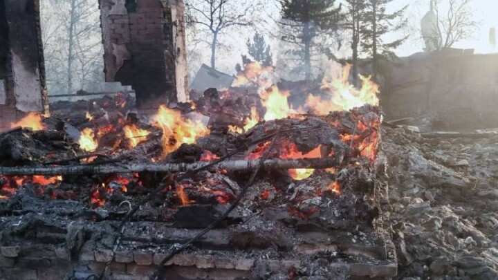 Жителя Риддера осудили за то, что он устроил лесной пожар, в котором погибли два человека