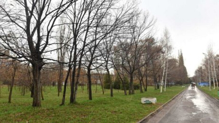 В Алматы четыре гектара земли в парке "Южный" вернут в госсобственность