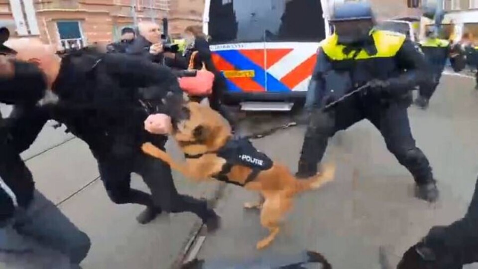 В Амстердаме прошёл митинг противников коронавирусных ограничений