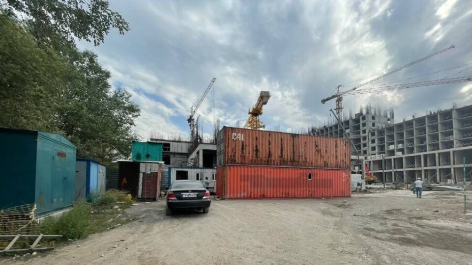 В Алматы незаконно вырубили под застройку ещё 300 деревьев