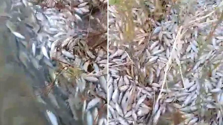 Фото с сайта МИА "Казинформ"