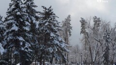 Боран, тұман, көктайғақ: 3 ақпанда ауа райы қандай болады