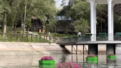 Алматыдағы Тереңқұр көлінде қалқымалы гүл композициялары орнатылды