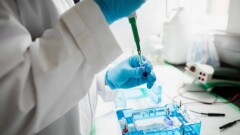 Солтүстік Қазақстанда екі адамнан шошқа тұмауы анықталды