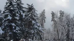 Аяз, жаңбыр, жел: Қазақстанның басым бөлігінде ескерту жасалды