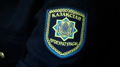 "Қазақ энциклопедиясы": экс-министрмен байланысты актив мемлекет қарамағына өтті