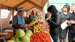 Алматыда демалыс күндері бірнеше көшеде қозғалыс уақытша шектеледі