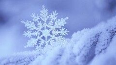 Қар, көктайғақ, тұман: 13 желтоқсанда ауа райына байланысты бірнеше өңірде ескерту жарияланды