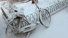 Қар аралас жаңбыр, аяз: 24 желтоқсанға арналған ауа райы болжамы жарияланды