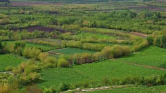 ШҚО-да 2 мың гектардан астам жер мемлекетке қайтарылды