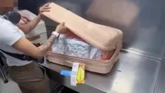 Алматы әуежайында шетел азаматының жүгінен 21 келі марихуана табылды