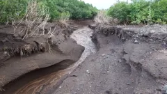 Қырғызстанда сел кезінде жоғалған 2 жасар баланың денесі табылды