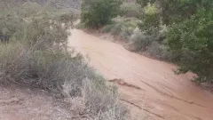 Алматы облысында автожолды су басты
