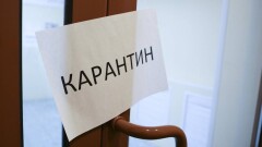 Алматы облысының төрт тұрғынынан сібір жарасы анықталды: карантин жариялана ма