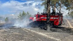 Қарағанды облысындағы дала өрті: Бас прокуратура мәлімдеме жасады
