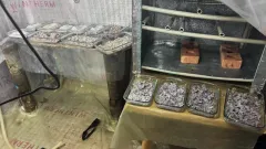 Алматыда екі есірткі зертханасы мен прекурсорлары бар ірі қойма тәркіленді