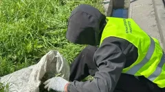 Қазақстанда 2300-ден астам адам қоғамдық жұмыс арқылы жазасын өтеп жүр