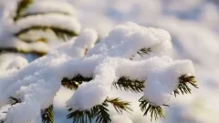 Қар, бұрқасын және көктайғақ: 20 қаңтарда Қазақстанда ауа райы қандай болады