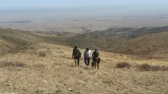 Жамбыл облысының тауларында 25 жастағы жігіт адасып кетті