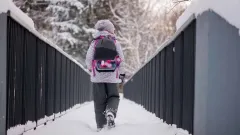 Қазақстанның бірнеше өңіріндегі оқушылар мен студенттер қашықтан оқуға көшті