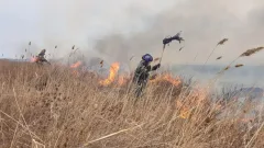 Ақтөбе облысында 550 гектар құрғақ шөп өртенді