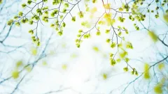 Қазақстанның бір бөлігінде жауын-шашын, бір бөлігінде аптап ыстық болады