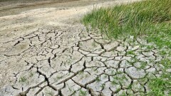Қазақстанның 5 облысында құрғақшылыққа байланысты ескерту жарияланды