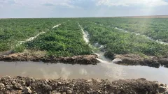 Түркістан облысында суару суын пайдалану ережесін бұзған 65 дерек анықталды