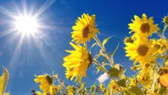 13 шілдеде Қазақстанның кей өңірінде +45 градусқа дейін ыстық болады