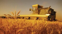 Үкімет ауыл шаруашылығын қаржыландыру үшін 580 миллиард теңге бөлді