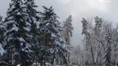 Қар, бұрқасын, көктайғақ: 27 ақпанда Қазақстан өңірлерінде дауылды ескерту жарияланды