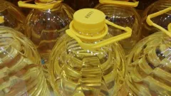 Қазақстанда өсімдік майының өндірісі тұрақты өсіп жатыр