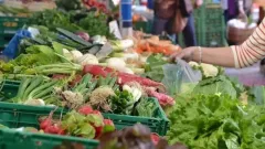 Ет, ұн және сүт өнімдері: Астанада 24-25 мамыр күндері ауыл шаруашылығы жәрмеңкесі өтеді