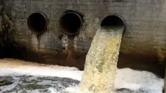 "Балаларымыз ауырып бітті". Атырауда көпқабатты үйдің кәріз құбыры жарылып, баспаналар нәжіске толды