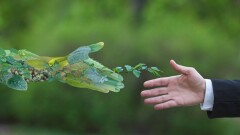 "Таза Қазақстан": Үкімет экологиялық мәдениетті дамытуға кірісті