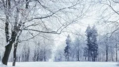 Тұман, қалың қар: Қазақстанның бірнеше өңірінде ауа райына байланысты ескерту жасалды