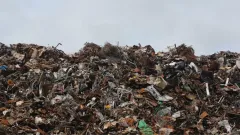Талғар ауданында қоқыстан Мемлекеттік рәміздер табылды: қылмыстық іс қозғалды