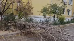Ақтауда адамдардың үстіне аялдама құлады: бір адам ауруханаға жеткізілді
