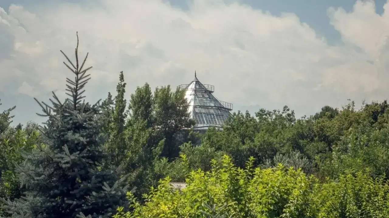 Фото: Informburo.kz