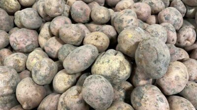 Ақтөбедегі ірі сауда орындарында шіріген картопты сатуға қойғандар даудың астында қалды