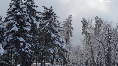 27 градусқа дейін аяз: Қазақстанның бірнеше өңірінде ескерту жасалды