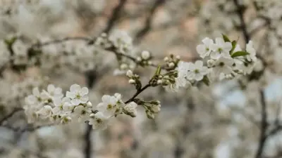 Синоптиктер Қазақстанның басым бөлігінде ауа райы бұзылатынын ескертті