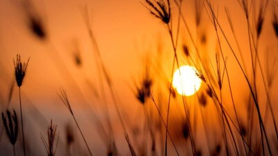 Жаңбыр, аптап ыстық: Қазақстанның барлық өңірінде ауа райына байланысты ескерту жарияланды