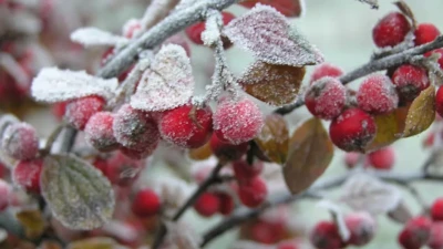 Қазақстанның 15 облысында ауа райына байланысты ескерту жарияланды