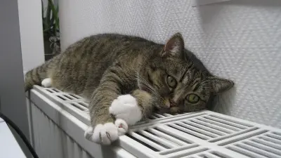 Шымкентте жылыту маусымы аяқталды