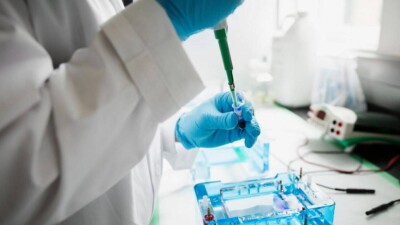 Солтүстік Қазақстанда екі адамнан шошқа тұмауы анықталды