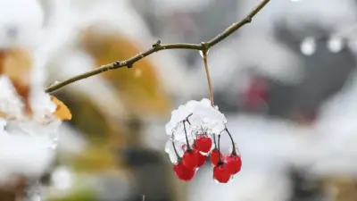 Тұман, көктайғақ, бұрқасын: 4 наурызда Қазақстанның бірқатар өңірінде дауылды ескерту жарияланды