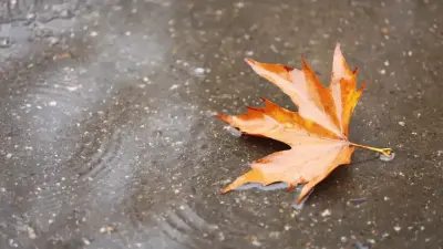 Жаңбыр, жел, тұман: 28 қарашаға арналған ауа райы болжамы жарияланды