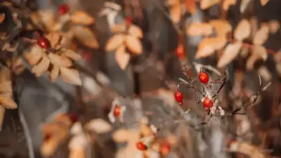 Жел, жаңбыр, қар: Қазақстанда 3 қарашада ауа райы қандай болады