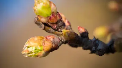 Жаңбыр, бұршақ, жел: 6 мамырға арналған ауа райы болжамы